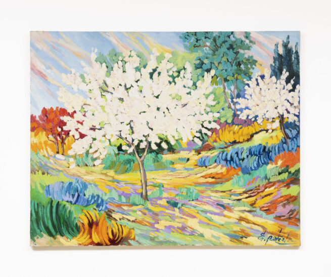 Cherry trees in Pino Genil - Enrique Padial