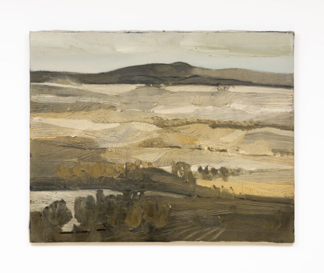 米灰色的风景 - Juan Garcés