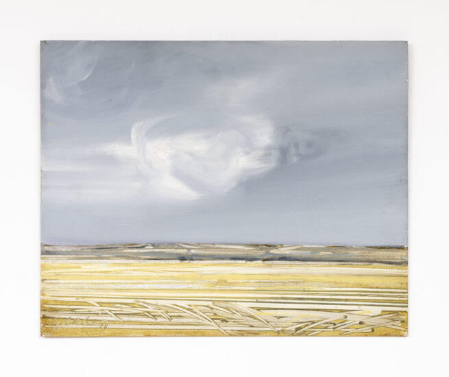 灰黄色的风景 - Juan Garcés