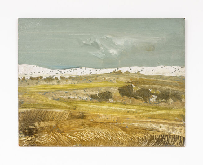 黄色雪景 - Juan Garcés