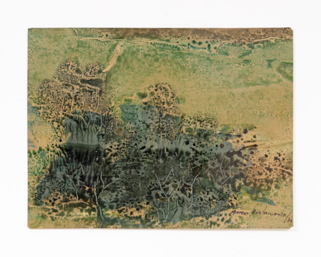 Paisaje verde - Marcos Bustamante